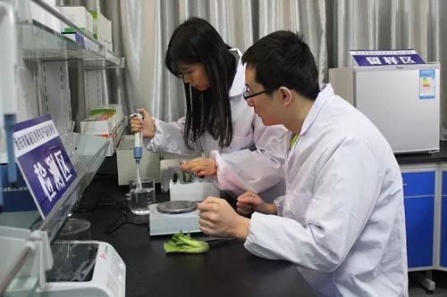 這一年，嚴字當頭 護航舌尖上的安全，食用農產品初加工