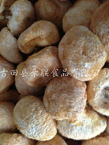 古田縣親聯(lián)食品 其他食用菌產(chǎn)品及食用農(nóng)產(chǎn)品初加工服務(wù)概覽