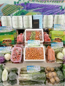 首屆金昌農(nóng)產(chǎn)品展覽會(huì)圓滿落幕 初加工食用農(nóng)產(chǎn)品引領(lǐng)農(nóng)業(yè)新風(fēng)向