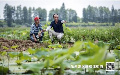 臨空港 食用農(nóng)產(chǎn)品初加工產(chǎn)業(yè)蓬勃發(fā)展，打造鄉(xiāng)村振興新引擎