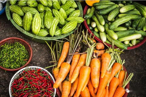 2020關(guān)鍵年 探索他國生態(tài)循環(huán)農(nóng)業(yè)模式，深化食用農(nóng)產(chǎn)品初加工發(fā)展